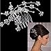 Txian Wedding Bridal Bridesmaid Flower Crystal Rhinestones Hair Comb Clip (Medium)