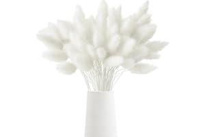 DABBOO 120 têtes de Fleur Seche Fleurs Sechees Queue de Lapin Fleur Séchée Herbe de Queue de Lapin Séchée pour la Décoration de la Maison Décoration de Salle D'événement de Mariage(Blanc)