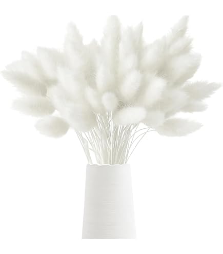 Erba Della Pampas Piccola Erba Secca Di Pampa,Coda Di Coniglio Essiccata Mazzi Di Erba 30 PCS Coda Di Coniglio Pampa Erba Secca Naturale Fiore Artificiale Per Matrimonio Decorazione D'interni Domestica Giardino Festa