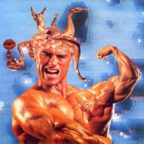 Preisvergleich Produktbild Jism Harvester by Steroid (2006-01-01)