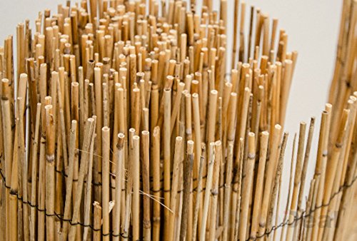 Schilfrohrmatte Sichtschutz Gobi 300×90 cm - 3