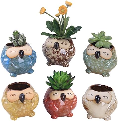 Rczh 3 inch Owl Planters, Small Ceramic Succulent Plants Bonsai Pots with Hole - Pack of 6 (Large)