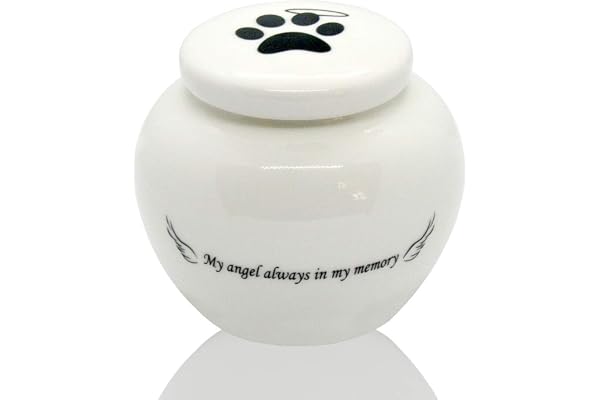Homelix Urne funéraire en céramique pour animal domestique Blanc