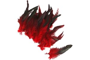 DPWOUM 50 Feather Nature Carnival Halloween Costume, Red Handicrafts