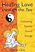 Healing Love through the Tao: Cultivating Female Sexual Energy by 