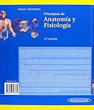 Image de Principios De Anatomía Y Fisiología - 13ª Edición