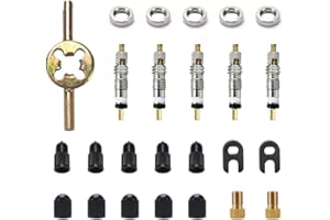 VooGenzek 25 Pezzi Presta Set Sostituzione Valvole per Pneumatici da Bicicletta, con 5 Valvola Presta, Cappucci Valvole Presta Schrader, 2 Presta a Schrader Adattatore, 2 Valve Core Remover, Dadi Rim