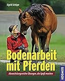 Image de Bodenarbeit mit Pferden: Abwechslungsreiche Übungen, die Spaß machen