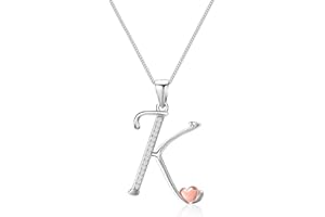 Mesovor 925 Sterling Silver Initial Necklace for Women, Dainty Sterling Silver Letter Cubic Zirconia Necklace Jewelry Gifts for family Mother Sister Wife