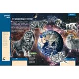 Image de Le grand Almanach de la France 2011