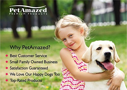 PetAmazed-Pure-Salmon-Fish-Oil-for-Dogs-Cats--Best-Omega-3-Liquid-Food-Supplement-for-Pets--Contains-EPA-DHA-Fatty-Acids-for-Improved-Skin-Coat--Naturally-Supports-Joint-Immune-Brain-Function--Relieve