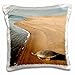 Produktbild Turtles - Giant River Turtle, Playita Beach 16x16 inch Pillow Case