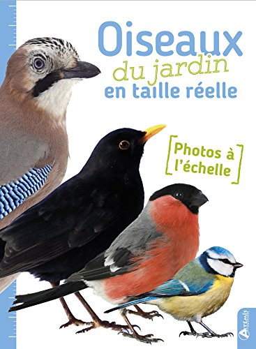 Oiseaux du Jardin en Taille Reelle (les) Oiseaux du Jardin en Taille Reelle (les)