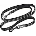 WINHYEPET True Love 7 In 1 Multi-Function Adjustable Dog Lead Hand Free Pet Training Leash Nylon Reflective Comfortable Multi-Purpose Dog Leash TLL2411(Black,M)