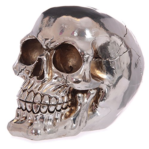 Mirror Effect Skull Money Box