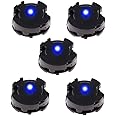 Excefore LED Units for Gundam Models Kits, 5 Pcs MG LED Unit Set for Gundam 00 MG GN-X, Light Up Certain for Gundam Models Hobby, Gift for Kids (Blue)