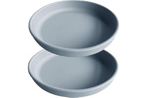 RICYEA Futternapf für Katzen Silikon Katzennapf flach Futterschale Trinkschale Katzenschüssel, Tiernäpfe für Trockenfutter, Nassfutter katzennapf (2er, Blau)