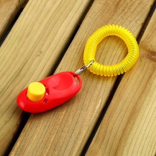 TOOGOOR-Training-Clicker-i-click-clickers-with-wrist-band-strap-RED-GREEN-for-Clicker-Training-2-pack