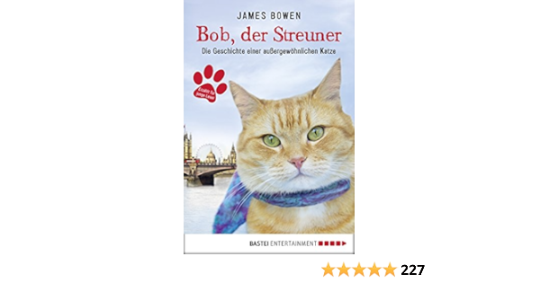 bob der streuner die geschichte einer aussergewohnlichen katze james bowen bucher 1 german edition ebook bowen james mensah ursula amazon fr