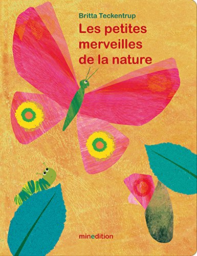 couverture de : Les petites merveilles de la nature