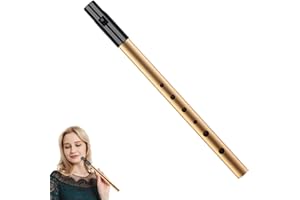 TOUMETT Tin Whistle,Penny Whistles,Irish Tin Whistle D,Premium Six-Hole Penny Slide Whistles,for Beginners Intermediate and Expert Band Performances(Gold)