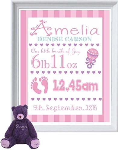 Personalised Nursery Picture, New Born, Baby Girl, Name, Date, Weight, Time (NP110)