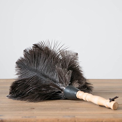 comprare on line BESTOMZ Piumino per spolverare da con vere piume di struzzo - piumino per spolverare fatto a mano prezzo