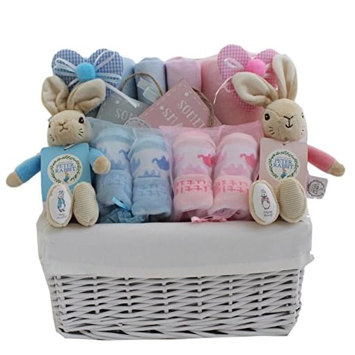 gift basket for twins boy and girl