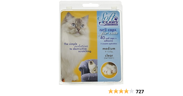 soft paws for kittens