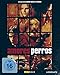 Amores Perros / Special Edition [Blu-ray]