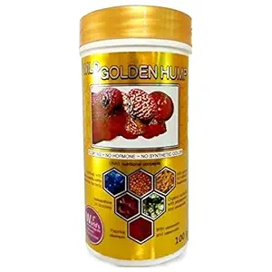 WILD Golden Hump Bio-Technologically Engineered Flowerhorn Food, 100 g