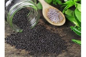 SHOPPER'S FREEDOM 100g Tukmaria, Basil Seeds, Thai Holy Baisal Seeds, Sweet Basil Seeds, Sabja Hair Skin Ayurveda Falooda, Faluda Sherbet Healthy Drink Benefits