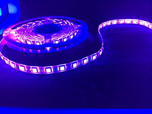 CORST Wasserdicht UV Schwarzlicht LED Streifen 5M 500cm SMD 5050 LED 300 395-405mm UV Strip Licht Flex Licht Schwarzlicht - 4
