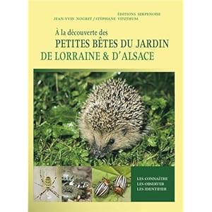 A la découverte des petites bêtes du jardin Livre en Ligne A la découverte des petites bêtes du jardin Livre en Ligne - Telecharger Ebook