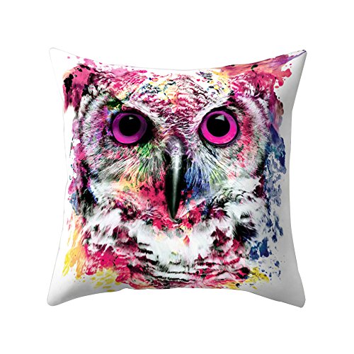 Dragonaur Cute Owl Animal Square Shape Pillow Case Cushion Cover