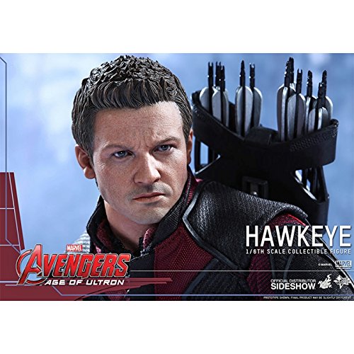 Hot Toys 1:6 Scale Avengers Age of Ultron Hawkeye Figure