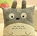 My Neighbor Totoro square pillow