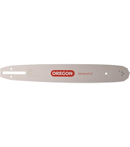 Oregon 248RNDD009 Motorsägen-Schwert - 3/8 Zoll Teilung, 24 Zoll