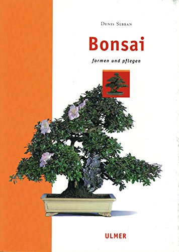 Seedeo Bonsai Anzuchtset Mediteran deluxe (Echte Myrte, Ölbaum, Zwerg Granatapfel) - 5