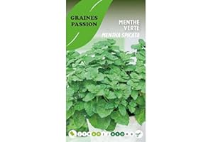 Graines Passion sachet de graines Menthe verte