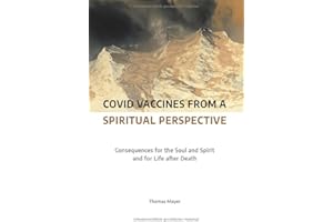 Covid Vaccines from a Spiritual Perspective: Consequences for the Soul and Spirit and for Life After Death