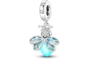 XWN Ciondolo Argento Sterling 925 con Cubic Zirconia Pendenti per Pandora Braccialetti, Compatibile con Braccialetti e Collane europei, perfetto Regali per Moglie e Ragazze 2P