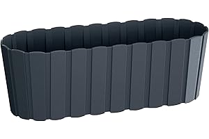 PROSPERPLAST Jardinera para balcón BOARDEE BASIC 7,9L., dimensiones (mm) 587x144x130, color Antracita