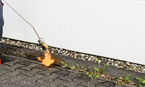 Rothenberger Industrial – RoMaxi Economy – Anwärmbrenner – inkl. 4 bar Regler und 5 Meter Schlauch – 1500000930 - 6