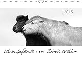 Islandpferde von Brimilsvellir (Wandkalender 2015 DIN A4 quer): Islandpferde von Brimilsvellir (Monatskalender, 14 Seiten) (CALVENDO Tiere) by 