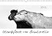 Islandpferde von Brimilsvellir (Wandkalender 2015 DIN A4 quer): Islandpferde von Brimilsvellir (Monatskalender, 14 Seiten) (CALVENDO Tiere) by 