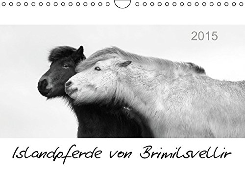 Islandpferde von Brimilsvellir (Wandkalender 2015 DIN A4 quer): Islandpferde von Brimilsvellir (Monatskalender, 14 Seiten) (CALVENDO Tiere)