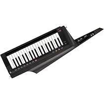 KORG RK-100S 2 BK KEYTAR Shoulder Keyboard Synthesizer : Amazon.in 