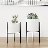 Suchergebnis auf Amazon.de für: Pflanzenständer: Garten