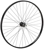 Tru-build Wheels RGR811 Rear Wheel - Black, 26 x 1.75 Inch
